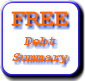 debt summary